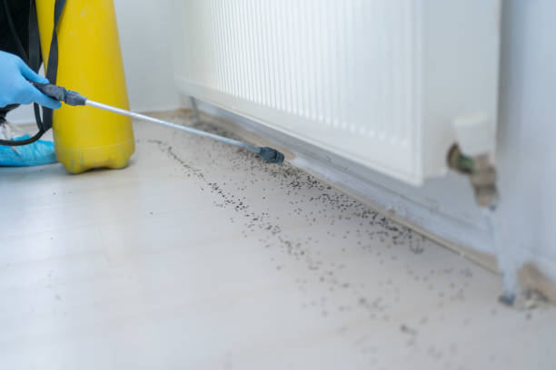 Best Pest Prevention Services  in St Bonifacius, MN